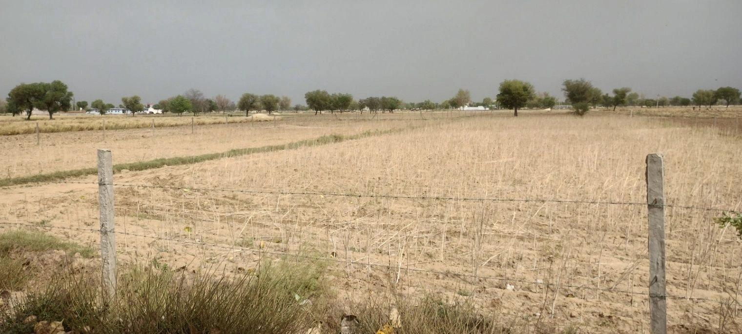 Imlali, Rajasthan, India preview 2