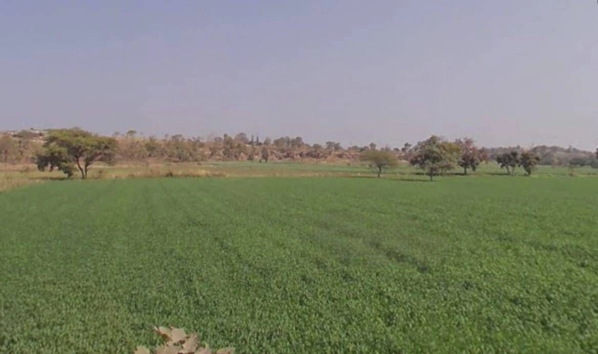8F2G+6GG, Sewanya, onkara, Bhopal, Sewaniya Onkar, Madhya Pradesh 462010, India