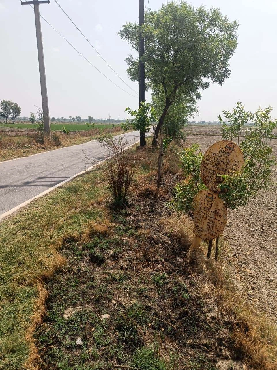 Aou, Rajasthan, India