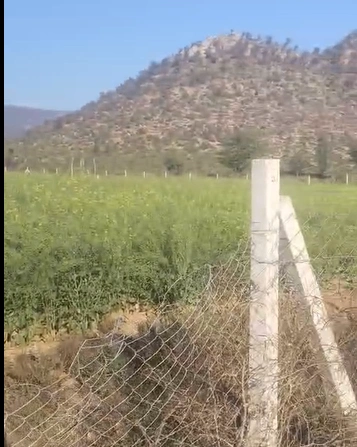 Kali Khol, Rajasthan 301001, India preview 3