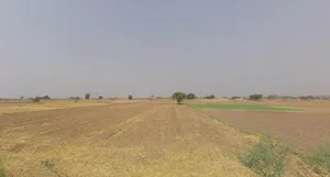 Jahazgarh, Haryana 124106, India preview 3
