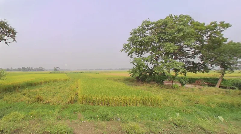 Kalyani Expy, West Bengal, India preview 3