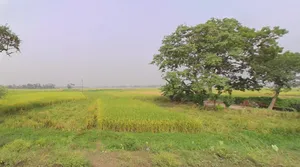 Kalyani Expy, West Bengal, India preview 3