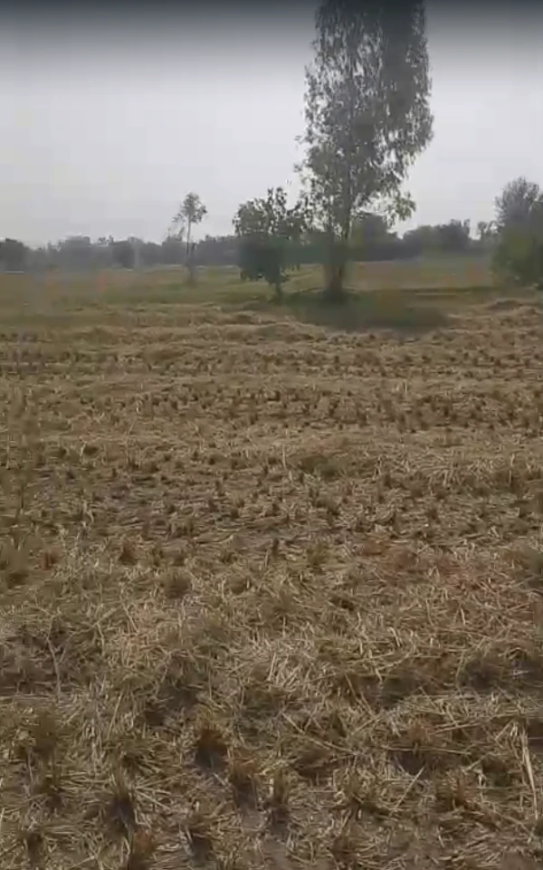 9HJ2+QPH, Alwar, Prithvipura, Rajasthan 301406, India