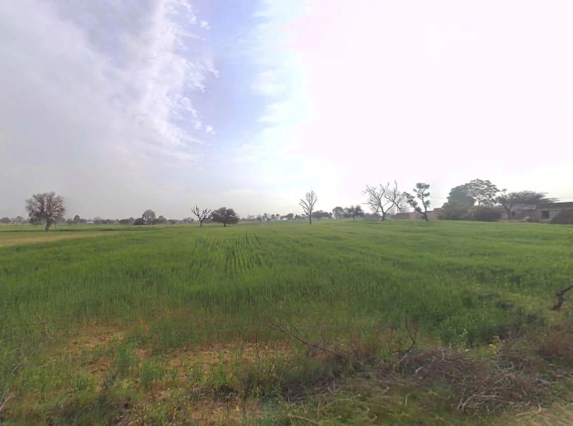 88RV+5MR, Dheengpur, Rajasthan 332601, India preview 3