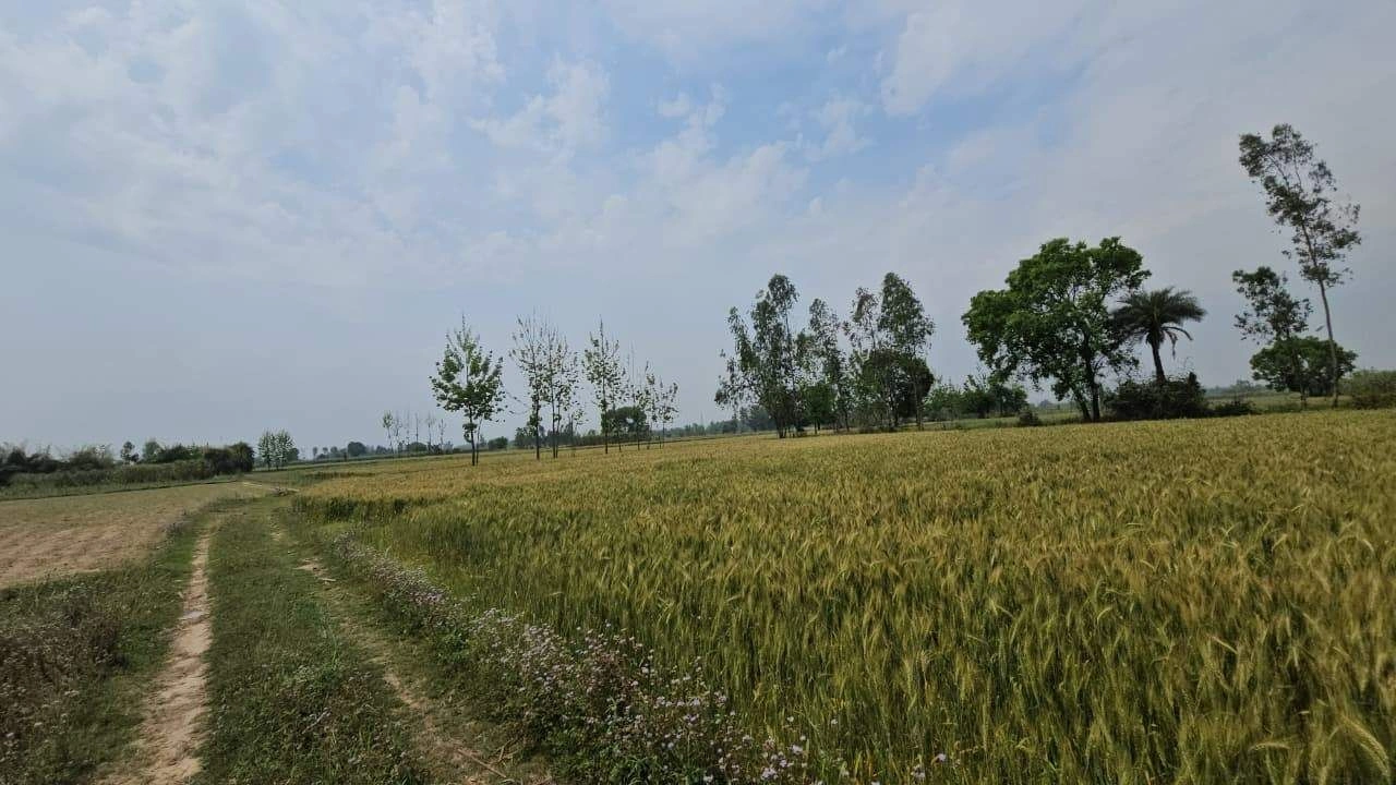 Etawah, Rajasthan 325004, India preview 3