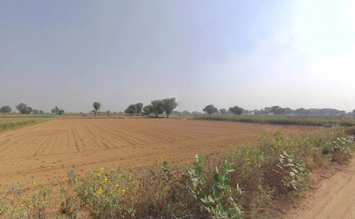 Behror Jat, Rajasthan, India