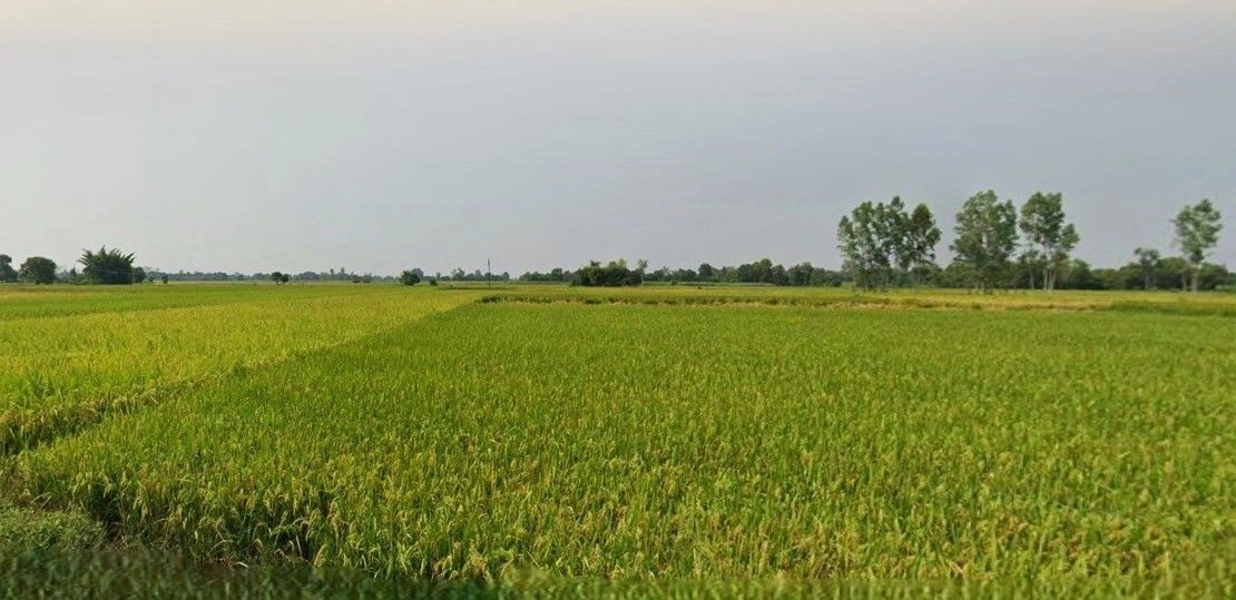 Dadri, Uttar Pradesh, India