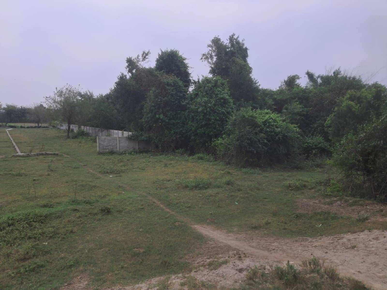 P7X2+8FP, Ayodhya, manjha, Rampur Halwara Uparhar, Sita Rampur, Uttar Pradesh 272129, India