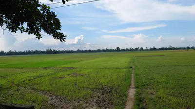 Patliputra Kurji Rd, New Patliputra Colony, Patliputra Colony, Patna, Bihar, India preview 2