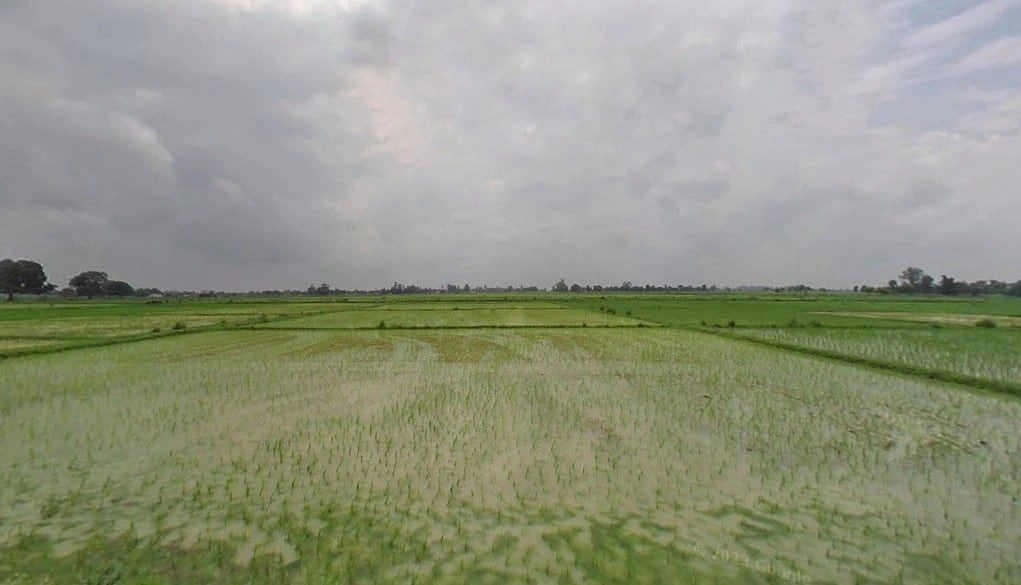 Kanchanpur, Uttar Pradesh 212110, India