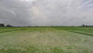 Kanchanpur, Uttar Pradesh 212110, India preview 2