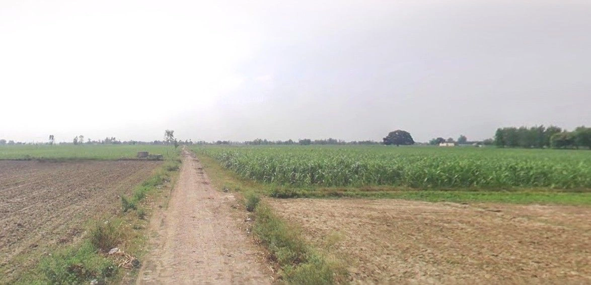 Sardhana, Uttar Pradesh 250342, India