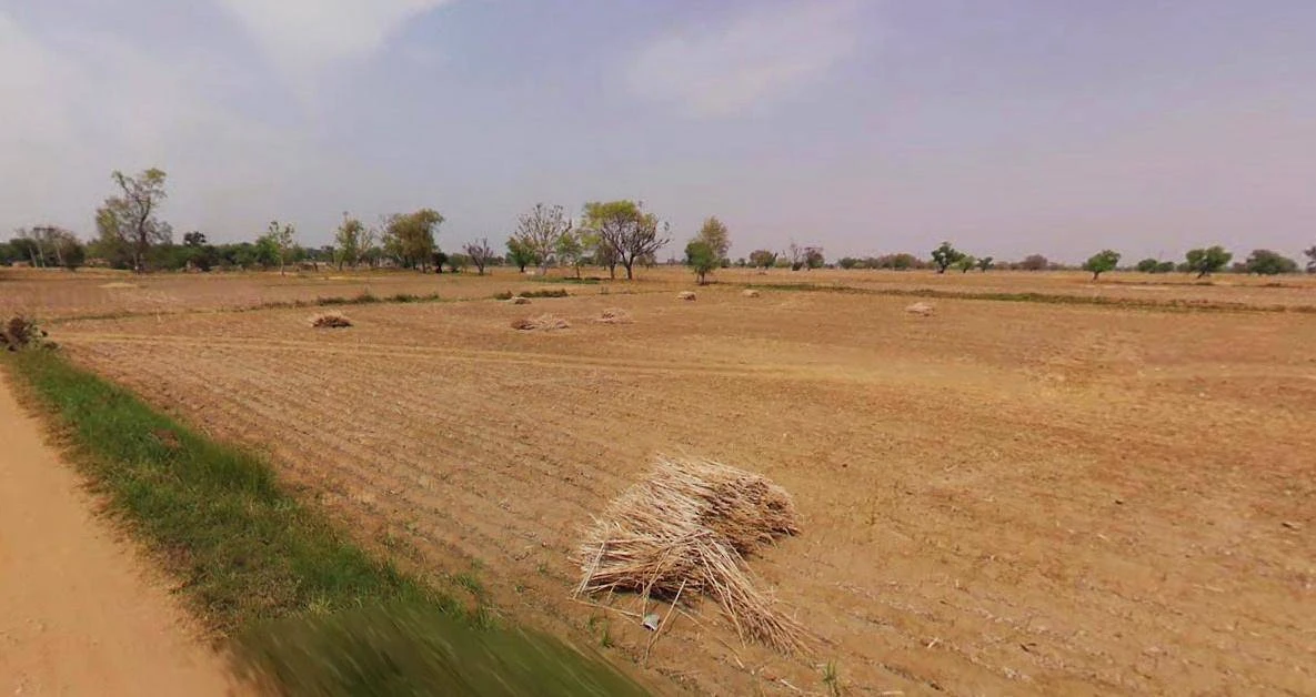 Sri Ganganagar, Rajasthan, India