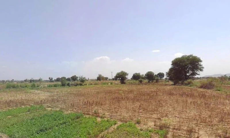 MRF2+8C Rasoolpur, Rajasthan, India preview 2