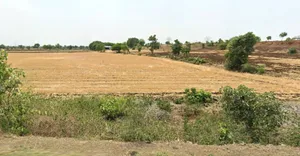 Barnagar, Madhya Pradesh 456771, India preview 3