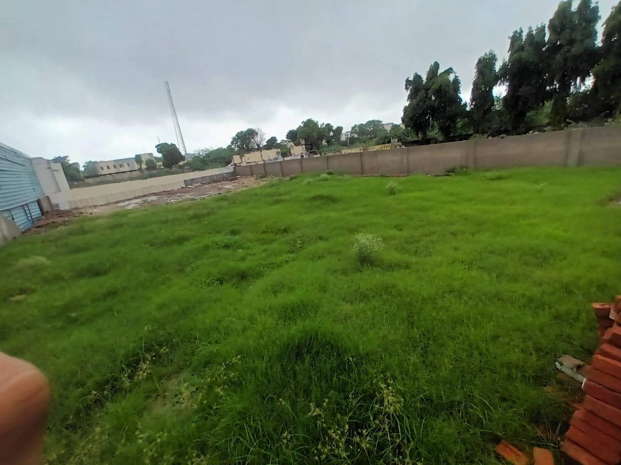 484F+FX6, Satpulia, Ajmer Rd Beawar, Paras Colony, Beawar, Rajasthan 305901, India