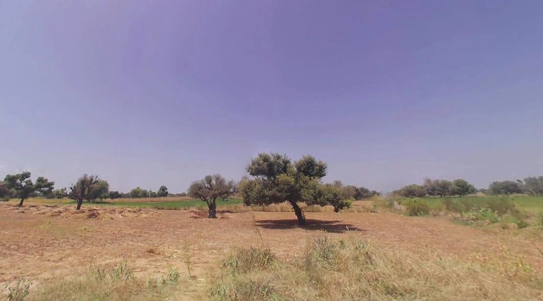 Lamiyan, Rajasthan, India