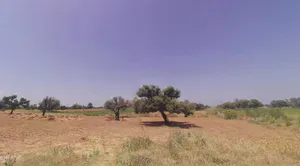 Lamiyan, Rajasthan, India preview 2