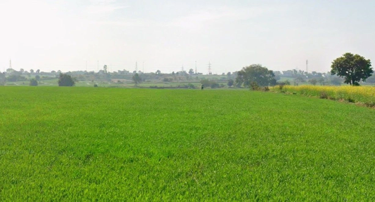 Ranchha, Madhya Pradesh, India preview 2