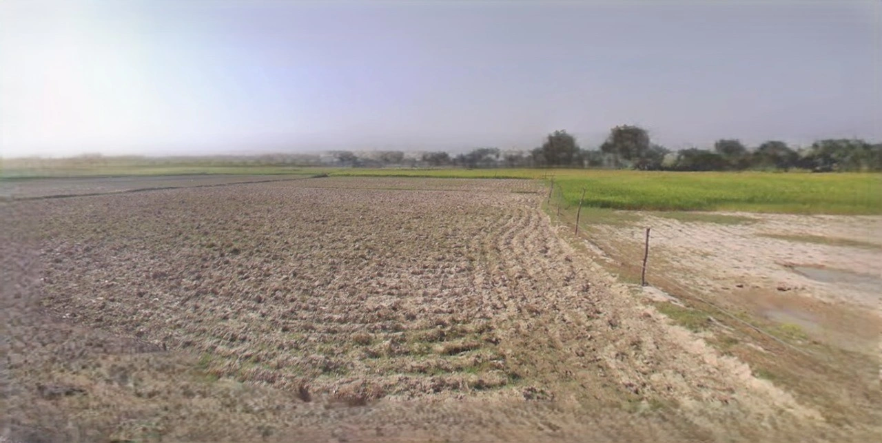 Jhajjar, Haryana 124103, India