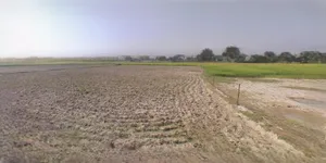 Jhajjar, Haryana 124103, India preview 3