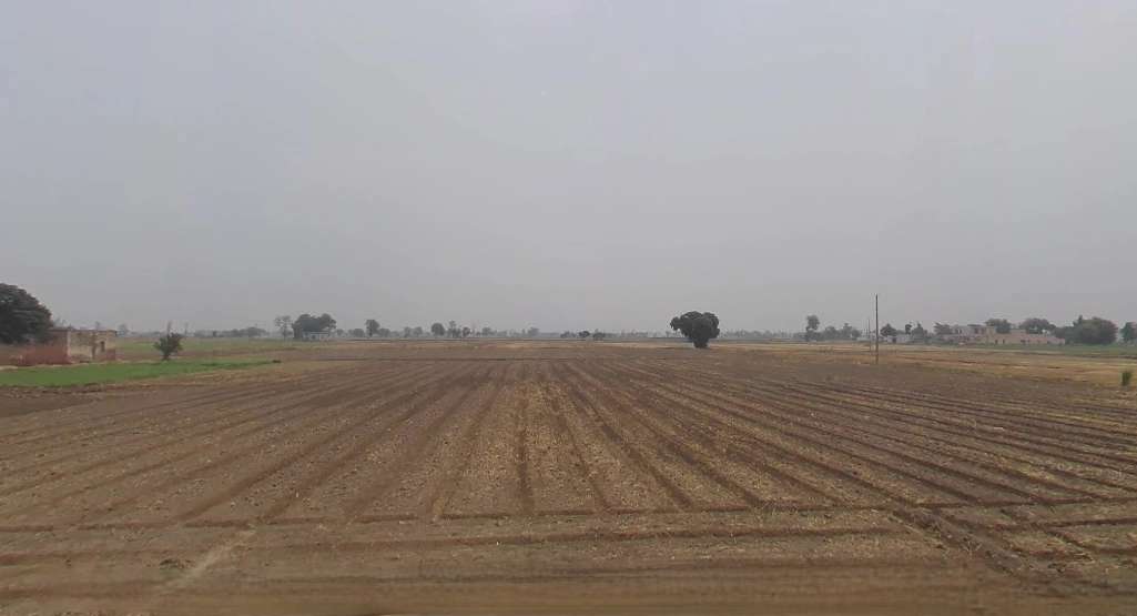 Rajpura, Punjab, India