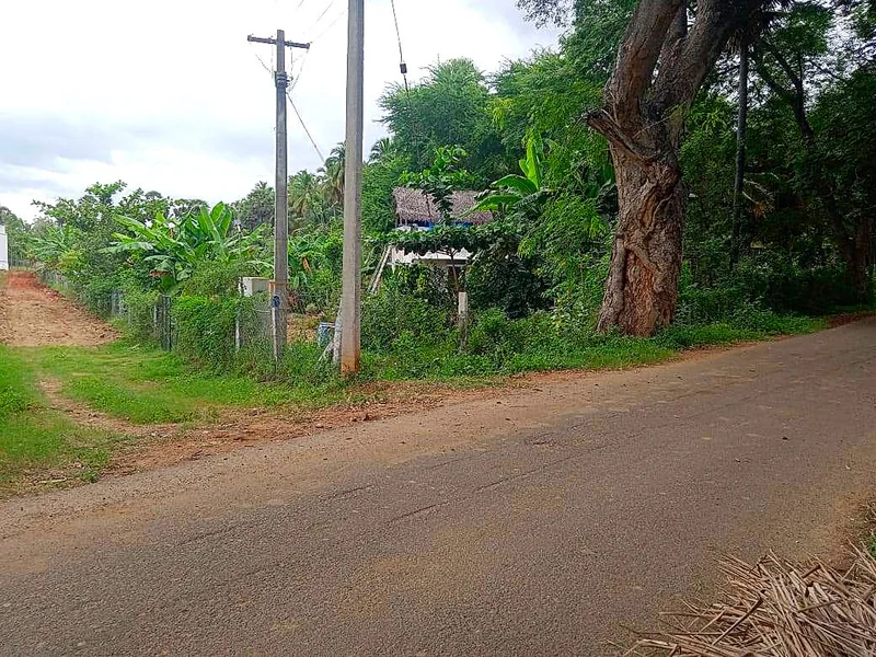 Srivilliputhur, Tamil Nadu 626125, India preview 3