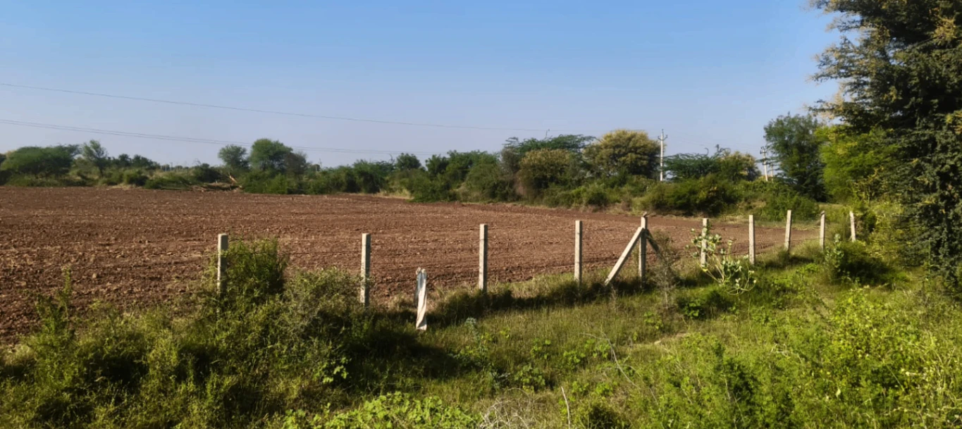 4C3P+J4V, Kotputli-Behror, Giglana, Rajasthan, India
