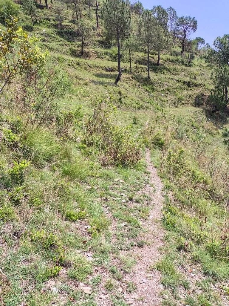 Thewa, Uttarakhand, India