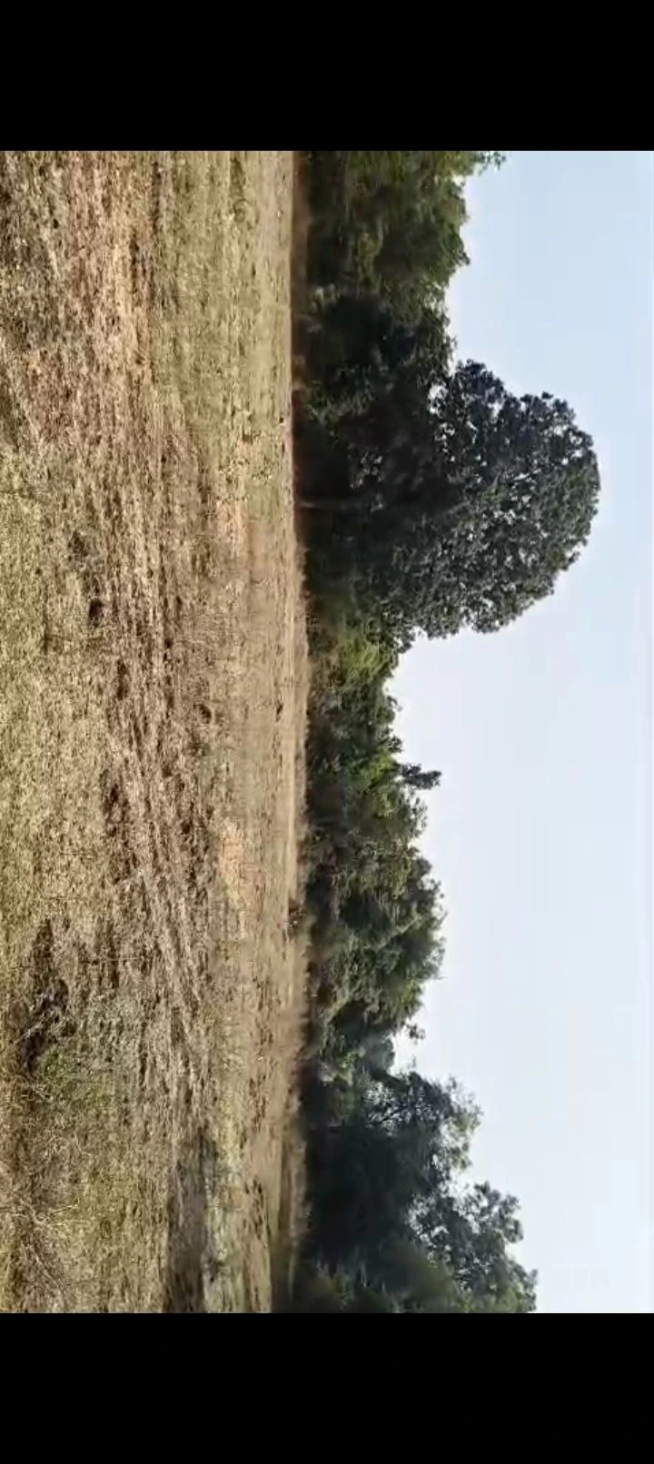 Himatnagar, Gujarat, India