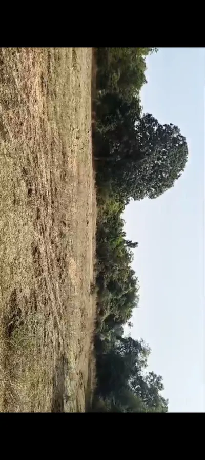 Himatnagar, Gujarat, India preview 4
