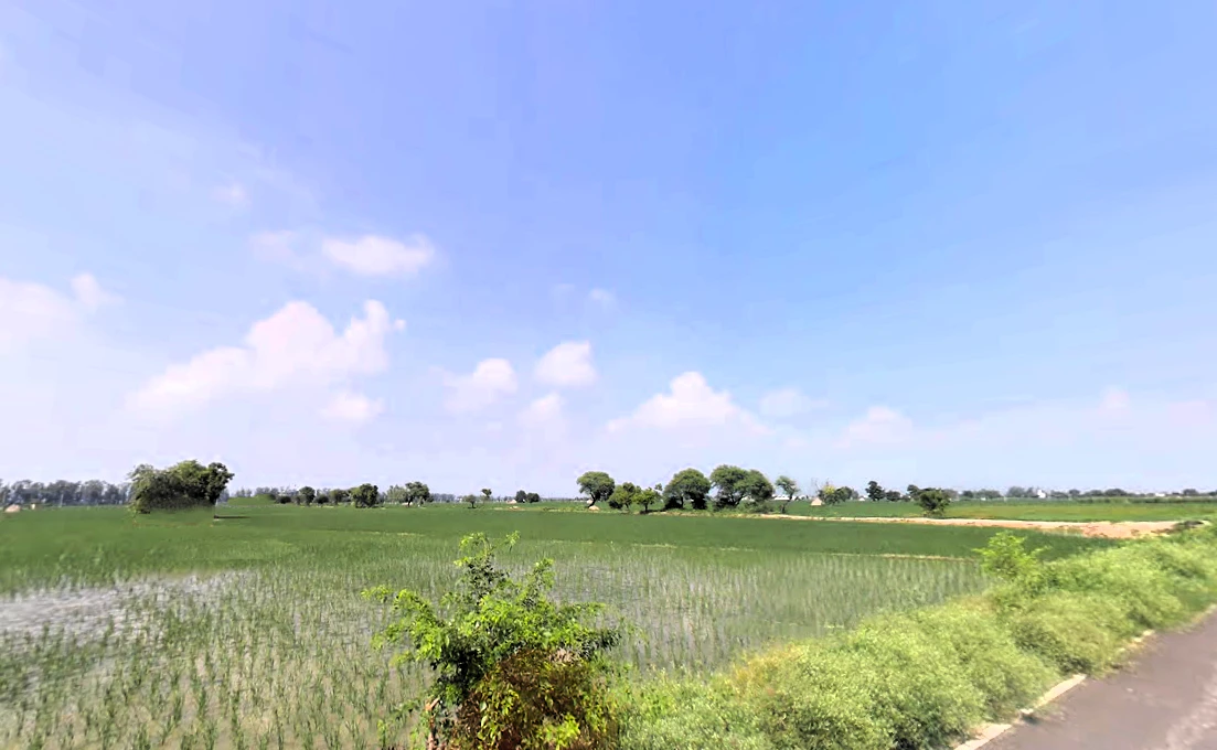 Alewa, Haryana 126111, India