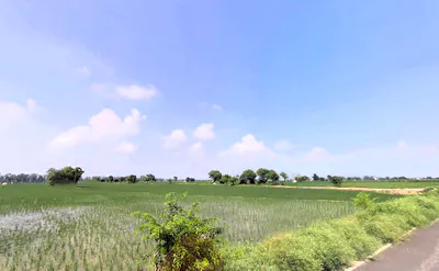 Alewa, Haryana 126111, India preview 2