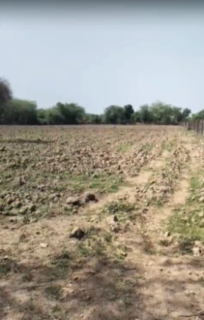 493, Sector 31, Gurugram, Haryana 122001, India preview 2