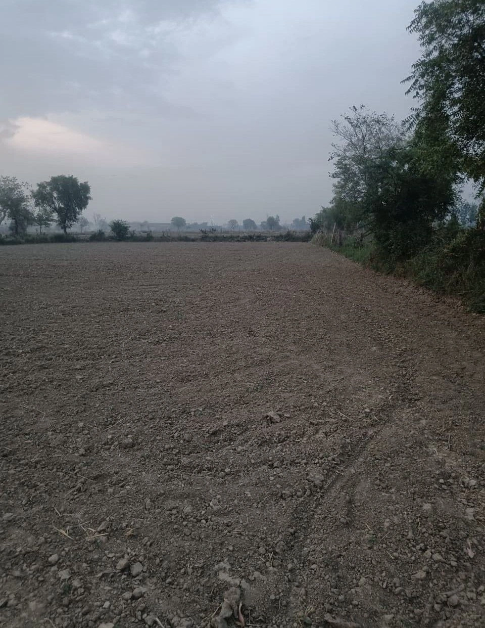 Pinan, Rajasthan, India