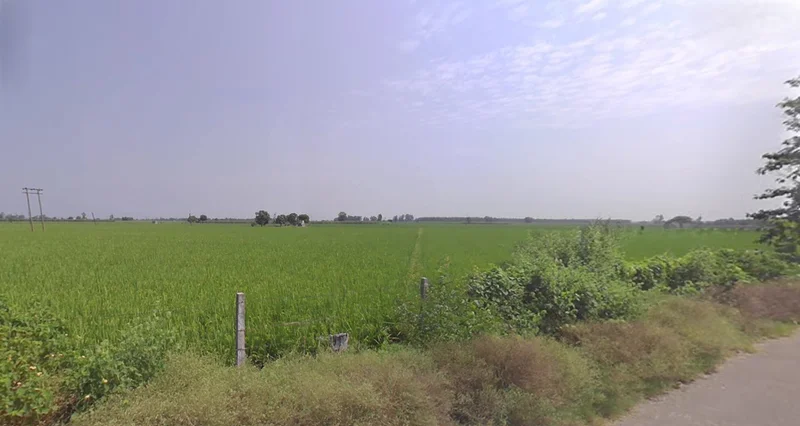 64V4+47M, Dhin, Haryana 133202, India preview 2