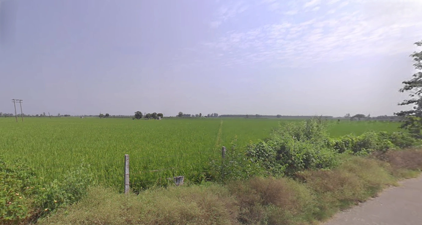 64V4+47M, Dhin, Haryana 133202, India