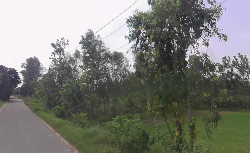 Behsuma, Uttar Pradesh 250401, India