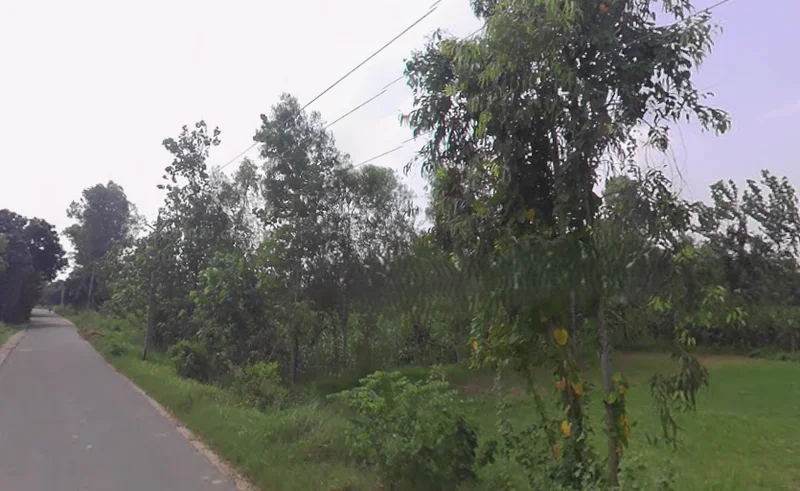 Behsuma, Uttar Pradesh 250401, India preview 2