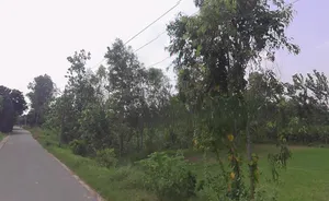 Behsuma, Uttar Pradesh 250401, India preview 2