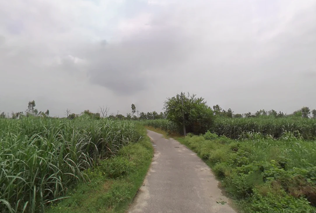 Sirsi, Uttar Pradesh 244301, India