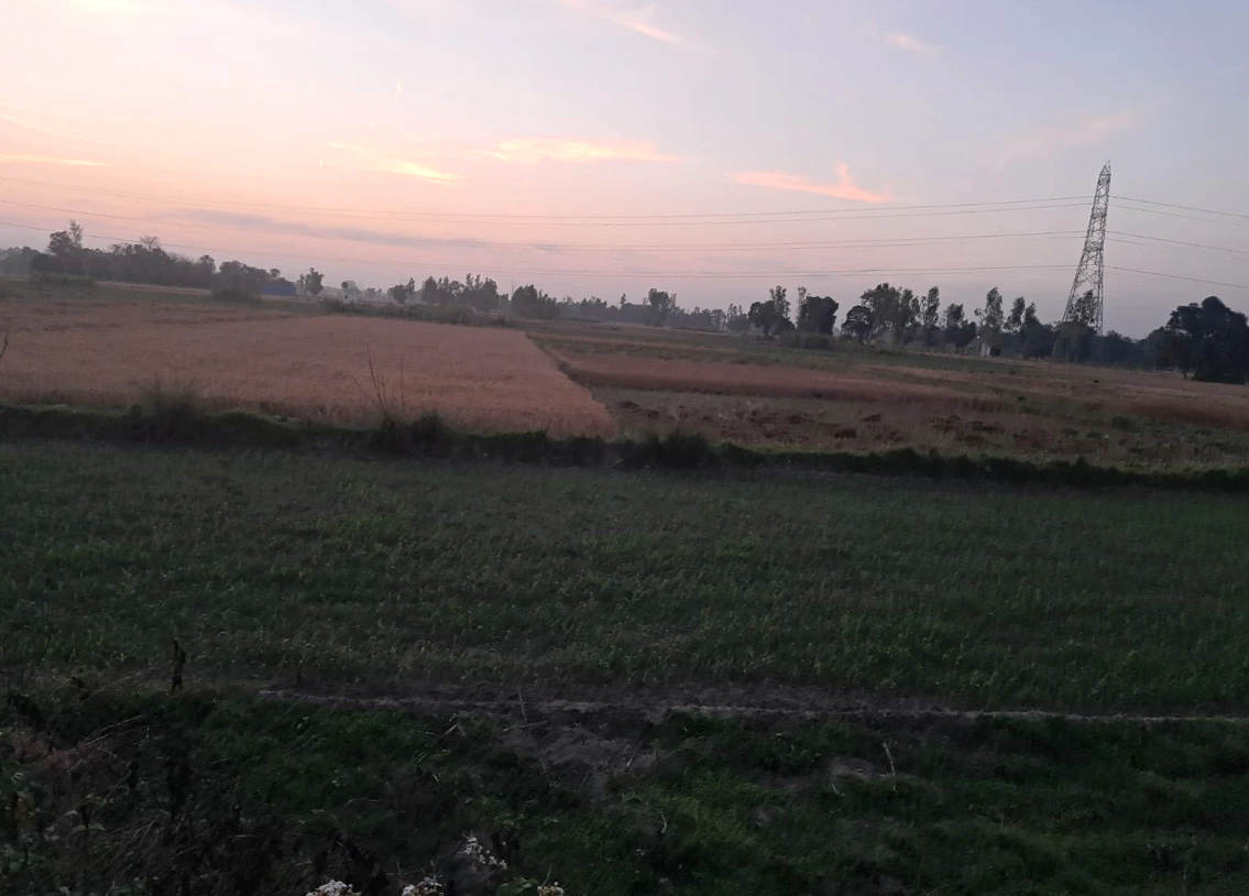 Nakodar, Punjab 144040, India