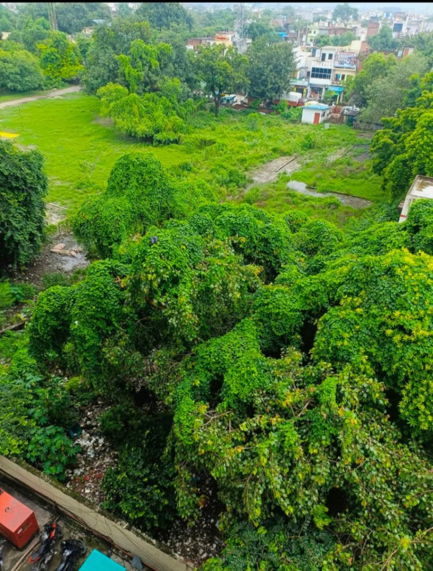 Purwa, Unnao, Uttar Pradesh, India preview 3