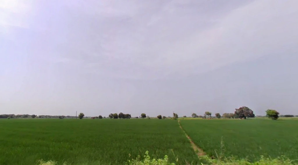 Farmana, Haryana 131408, India
