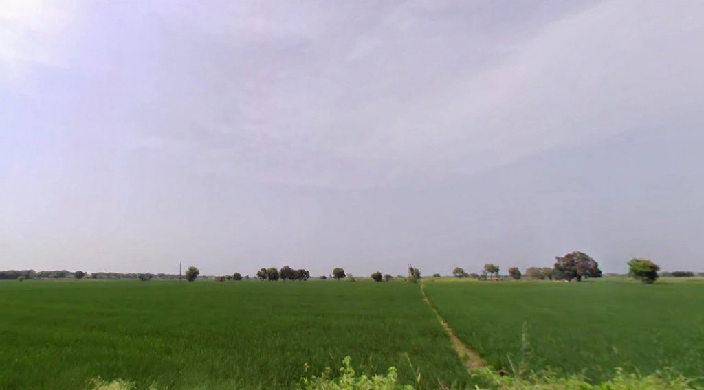 Farmana, Haryana 131408, India