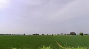 Farmana, Haryana 131408, India preview 2