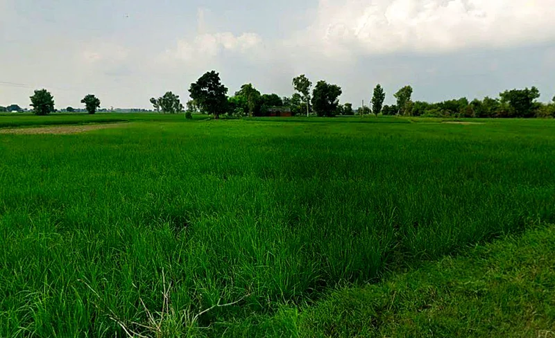 Ghorbhatt, Chhattisgarh 493225, India preview 3