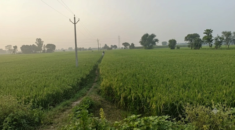RP5V+Q8 Sikanderpur, Mathura, Uttar Pradesh, India