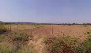 Sri Ganganagar, Rajasthan, India preview 2